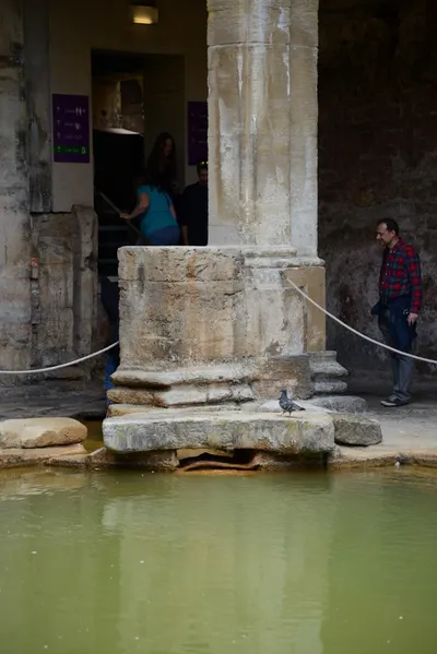 DSC_2661 (Large).JPG